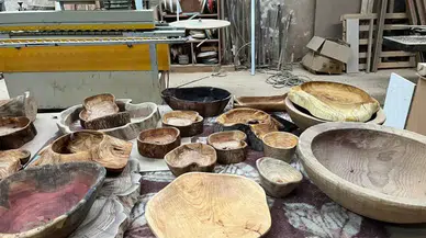Çürümüş Zeytin Ağaçlarına Sanatla Hayat Veriyor!